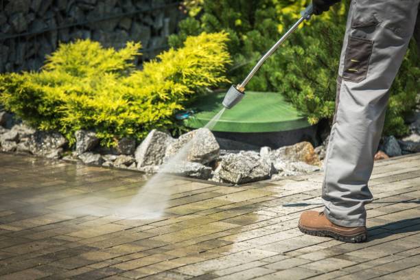 Best Driveway Pressure Washing  in Agoura Hills, CA
